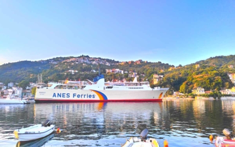 Proteas Anes Ferries arrives to port