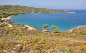 One of the beaches in Spetses