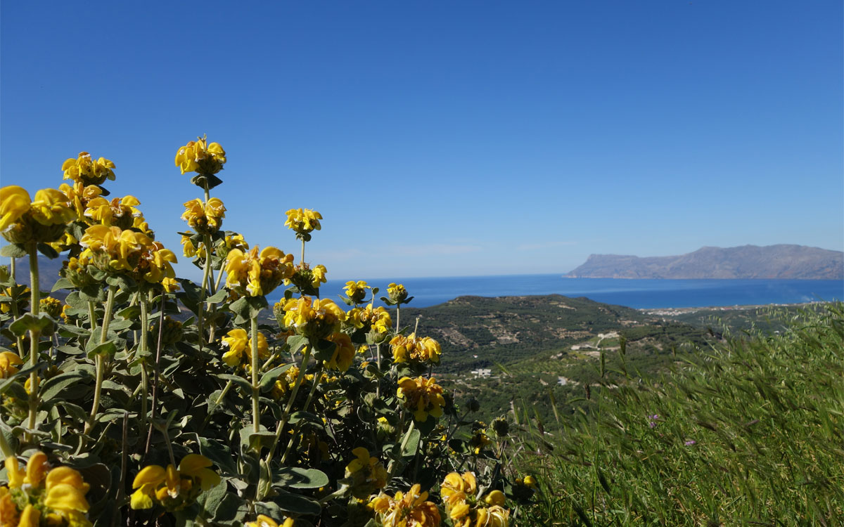 The nature in Kissamos, Crete